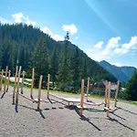 Alpenrauschen * Planneralm
