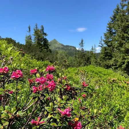 Alpenrauschen * Planneralm