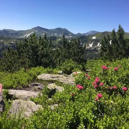 아파트 Alpenrauschen Planneralm