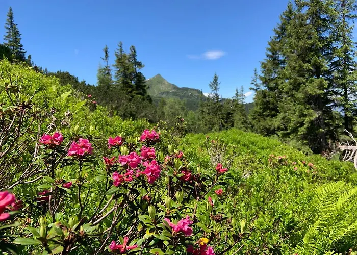 Alpenrauschen * Planneralm