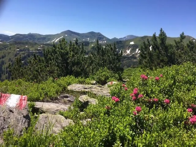 公寓 Alpenrauschen Planneralm